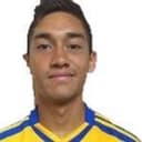 دافيد نافارو