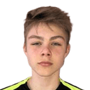 ماريوس فيستر