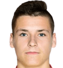 أركاديوس بيركا