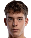 توماس يلينيك