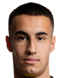 سرجان هريستيتش