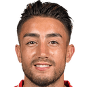 جانر جافلان