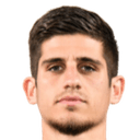 निकोलस स्टेफनेली