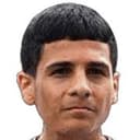 إيرين كاراجاج