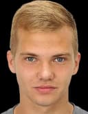 دينيس بيرفيلوف