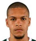 Miguel Dos Santos Silva