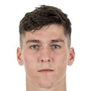 डोमिनिक वोल्कमर