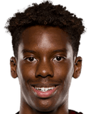 هارفي أراوجو