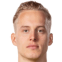 غوستاف بيرغرين