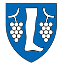 बोसोनोही