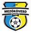 Mezokovesd Zsory FC