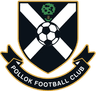 Pollok