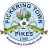 পিকেরিং টাউন
