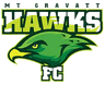 MT Gravatt Hawks