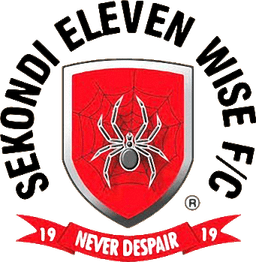 ইলেভেন ওয়াইজ