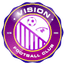 Vision FC