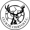 ক্লাব দে সিয়েরভোস এফসি