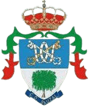 ساوزال للسيدات