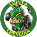 Vointa 2024 Crevedia