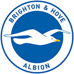 Brighton&Hove Albion