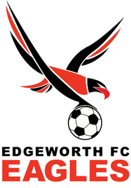 Cadangan Elang Edgeworth