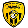 Aliaga Futbol