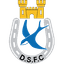 Dungannon Swifts