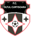 Oltul Curtisoara