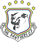 पैंथर्स एफसी