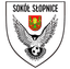 Sokol Slopnice