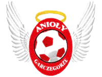 অ্যানিওলি গারচেগোরজ