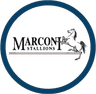 Kuda Marconi
