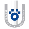 Hanil University