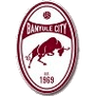 Banyule City (W)