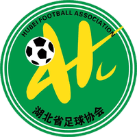 Hubei U20