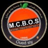 MCB Oued Sly