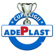 Liga Piala Rumania