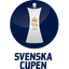كأس السويد