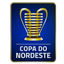 Copa do Nordeste Brasil