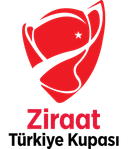 तुर्की कप