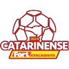 Campeonato Catarinense Primeira Divisão