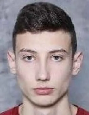 Ali Sokolovic