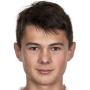 Stepan beran