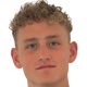 Anton mossnelid