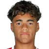 Luis Meneses