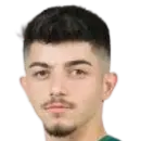 Şahin Dik