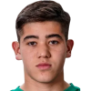 artem zhilin