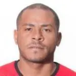 ويلمر أغيري
