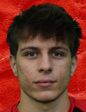 Vincenzo Rochira
