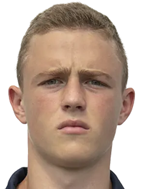 vladyslav gerych